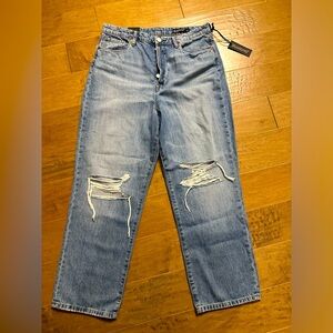 Blank NYC jeans the Baxter 30 ribcage straight leg NWT